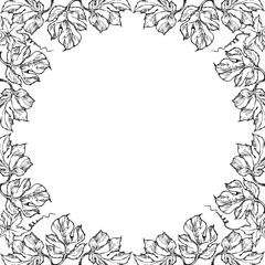 Hand drawn ink vector pumpkin leaf, vine, flower. Sketch illustration art Thanksgiving, Halloween, harvest, farming. Isolated square border frame. For restaurant menu print, cafe, website, invitation