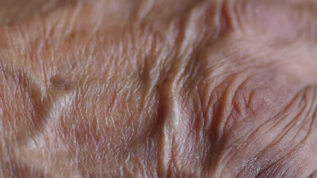 extreme close-up of wrinkled skin of an elderly man's hands. selective focus. concept elderly people age 80 years. human aging process
