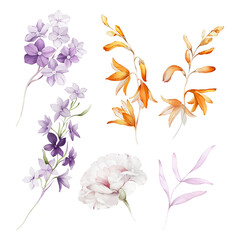 Set of wild flowers on a white background in watercolor style - 650116750