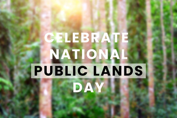 National public lands day, beauty in nature and landscape concept digitally generated image. Happy national public lands day text over trees in park.