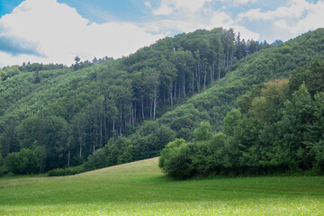 landscape in the mountains