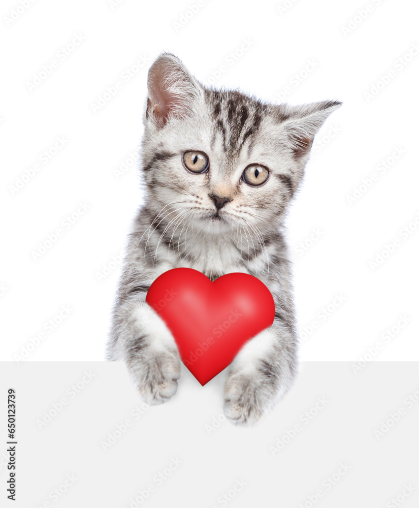 Aufkleber cat holds red heart above empty white banner. isolated on white background