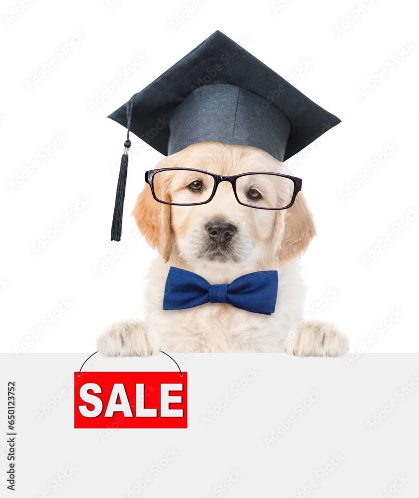Poster smart golden retriever puppy holds signboard with labeled 