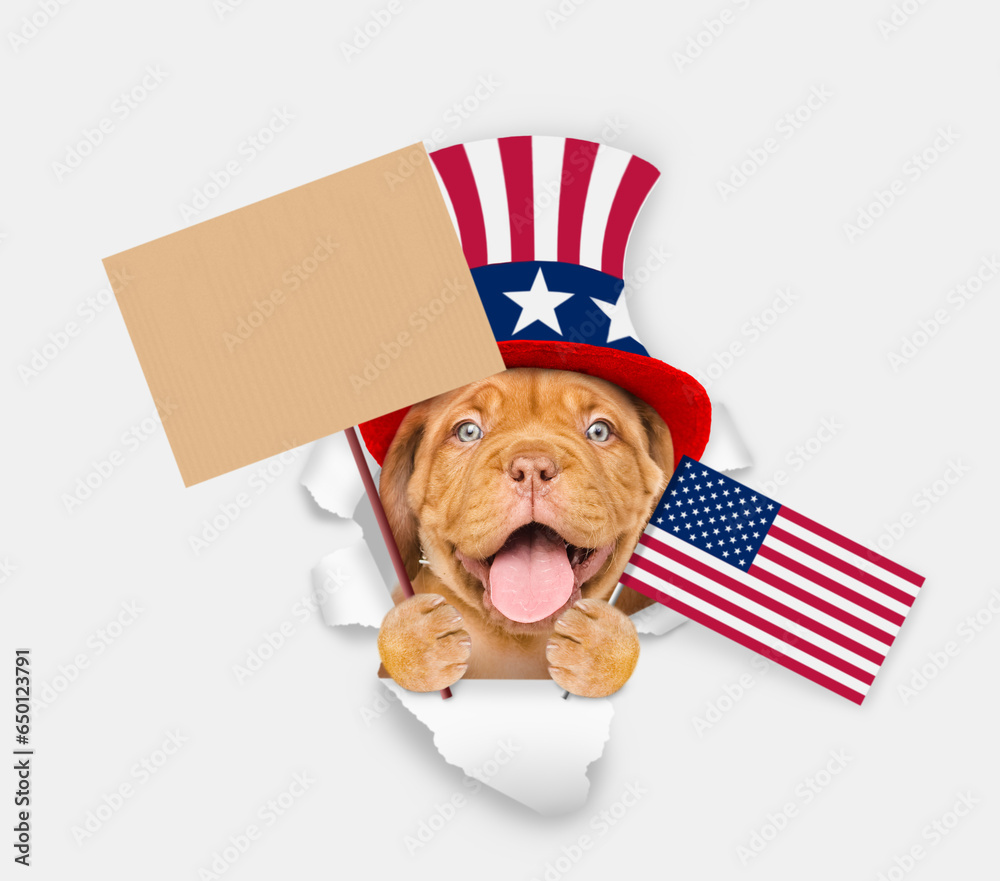 Poster happy mastiff puppy wearing like uncle sam looking through a hole in paper and shows empty placard. 