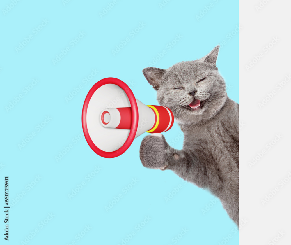 Poster happy cat screams into megaphone and looks from behind empty white banner. isolated on blue backgrou