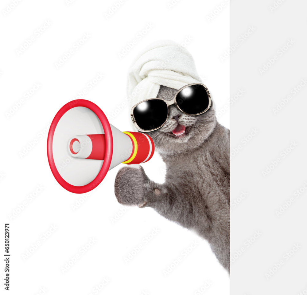 Poster Happy cat with towel on it head looking from behind empty white banner and screaming into a megaphone. isolated on white background