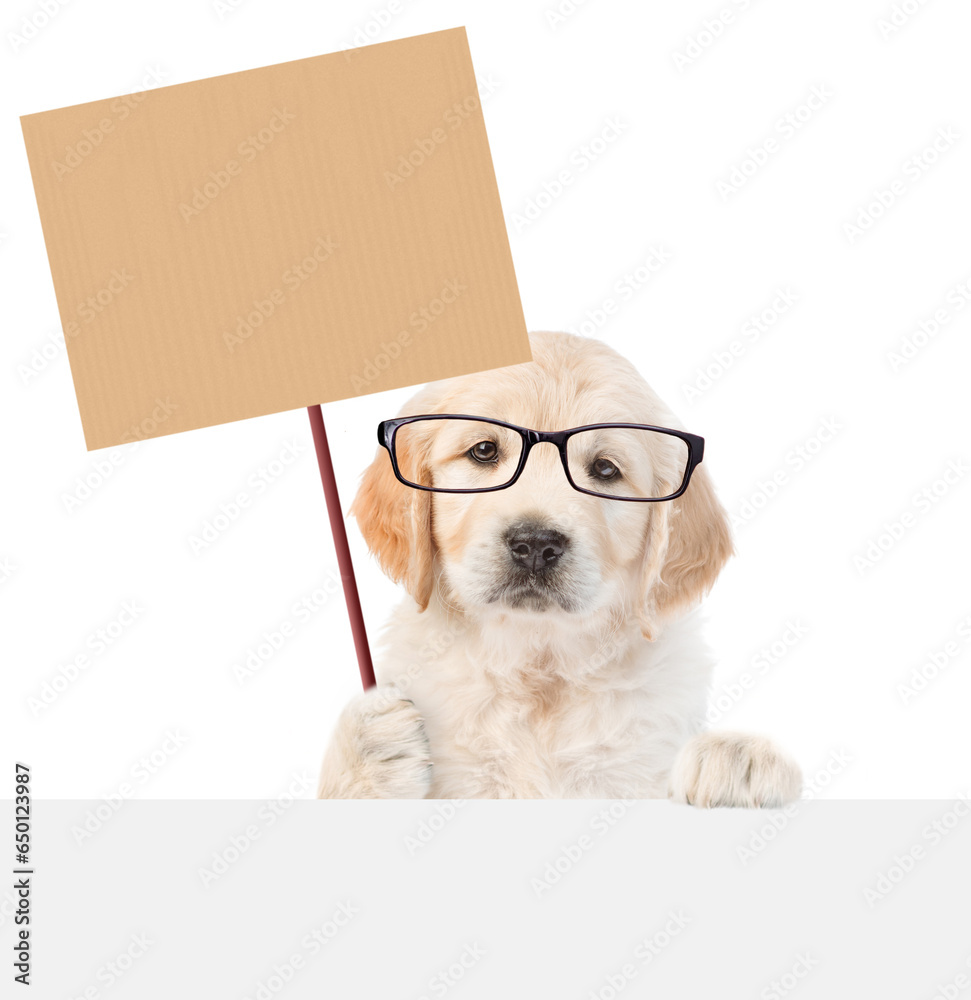 Aufkleber funny smart golden retriever puppy wearing eyeglasses shows empty placard above empty white banner. 