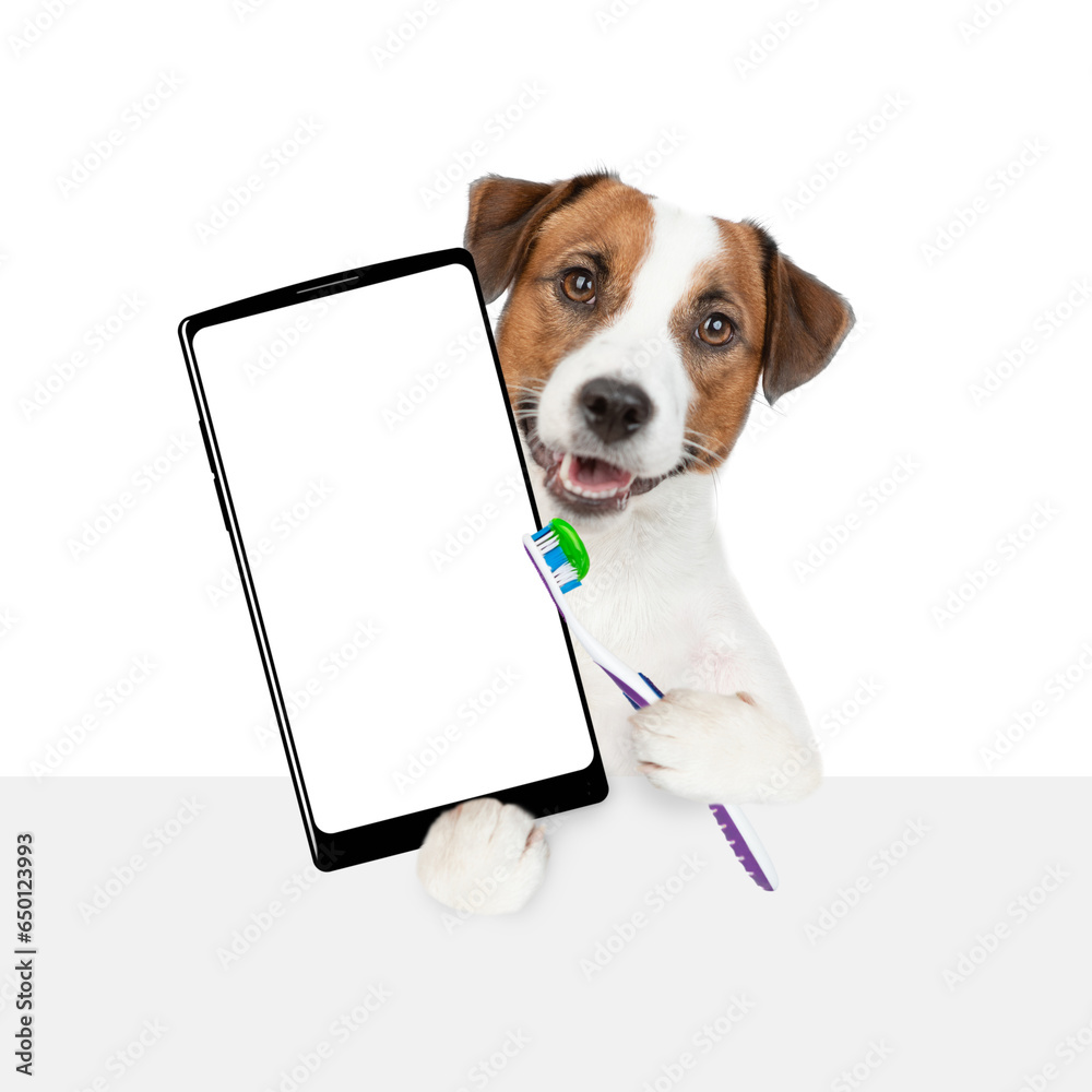 Poster funny jack russell terrier puppy holds toothbrush and holds big smartphone with white blank screen i