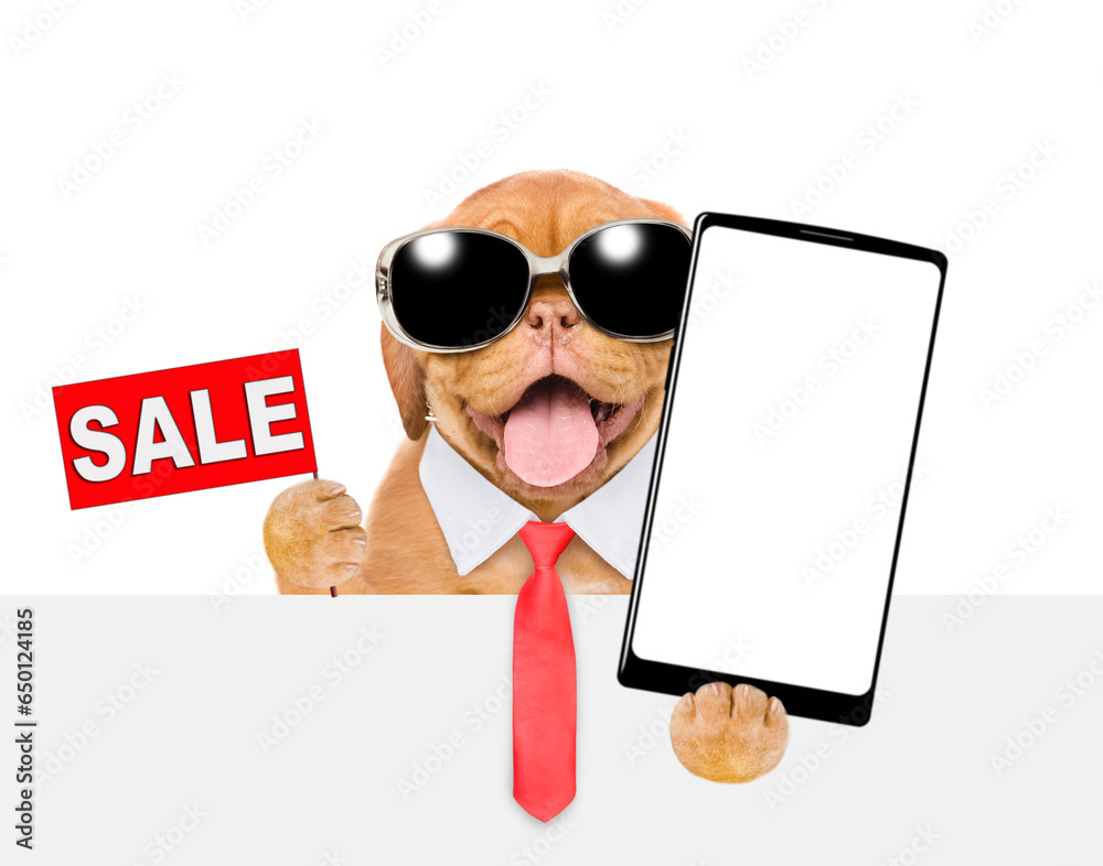 Poster smart mastiff puppy wearing sunglasses and necktie shows signboard with labeled 
