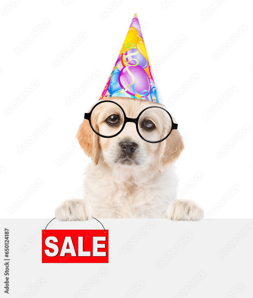 Poster funny golden retriever puppy wearing eyeglasses and party cap shows signboard with labeled 