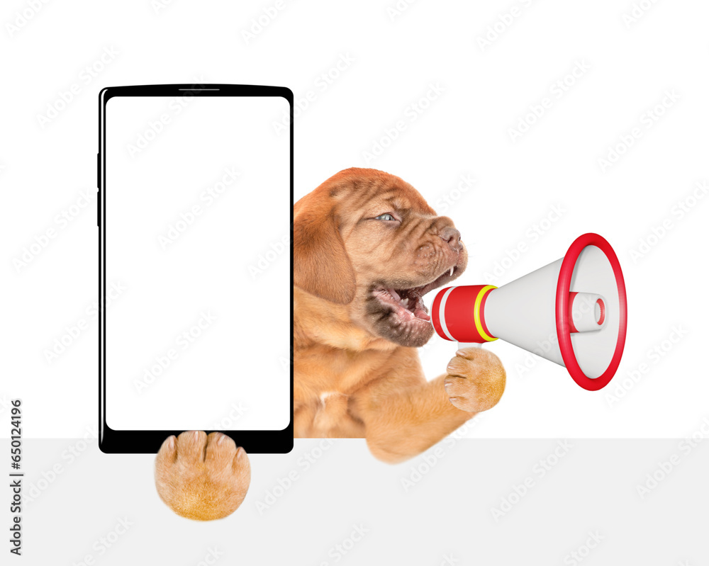 Poster Mastiff puppy screaming into a megaphone and holds big smartphone with white blank screen in it paw above empty white banner. isolated on white background
