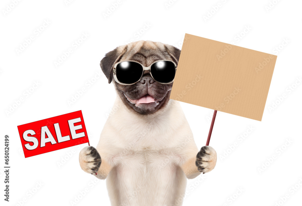 Poster pug puppy wearing sunglasses showing signboard with labeled 
