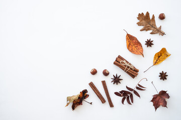 Creative fall composition. Fall leaves, spices and nuts on white.