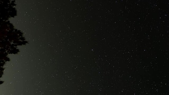 Stars appear to rotate around Polaris as the Earth spins - vertical star trails time lapse