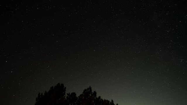 Polaris over a tree with stars rotating as the Earth spins then showing circular star trails time lapse