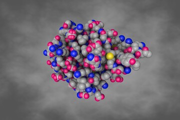 Human testis-specific fatty acid binding protein 9 (FABP9). Space-filling molecular model. Rendering based on protein data bank entry 4a60. Scientific background. 3d illustration