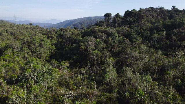 Cinematic daytime drone footage in Oxapampa, Peru. The camera ascends slowly while gradually tilting downward, revealing densely forested lands.