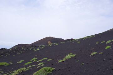 Pentes de l'Etna