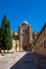 Fototapeta na wymiar Tower of the new cathedral of Salamanca, with ornaments in low relief from a walk with cypresses and wooden benches from a clear blue sky.