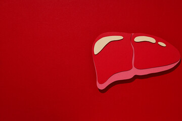Paper liver mockup on red background, space for text