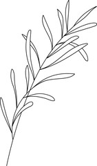 Line Leaves Branch Art