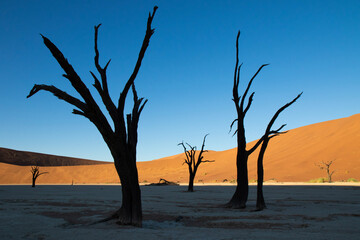 Dead Vlei Namibia 