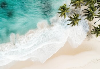 Beach with palm trees on the shore in the style of birds-eye-view. Turquoise and white plane view on beach aerial photography. - obrazy, fototapety, plakaty