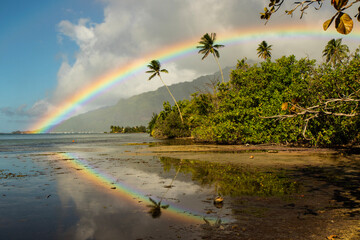 rainbow over the island of Moorea - obrazy, fototapety, plakaty
