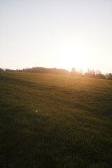 Obraz premium Sonnenaufgang über Harzer Wiesen