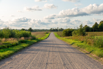 Panorama of fabulous dirt road with avenue of trees in beautiful countryside with blue sky, clouds...
