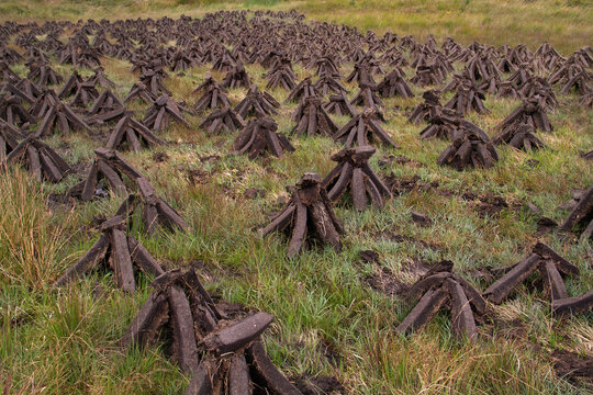Stacked peat blocks, drying in the wind and sun.