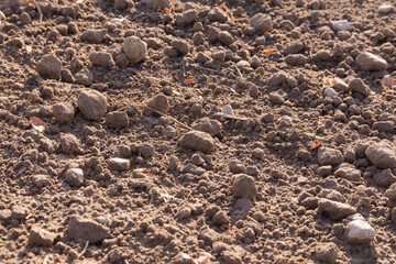 Freshly plowed or cultivated land or field

