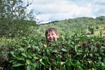 portrait d'un garçon en train de se cacher dans un buisson