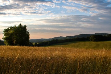 Fototapeta premium Twilight in the north of Bohemia.