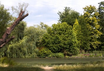 Prague, Central park Stromovka. One of the most important natural landscape parks in Prague.   