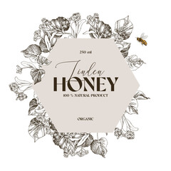 Linden honey vector label template
