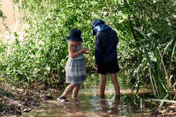 Exploration enfantine de deux enfants, un garçon et sa petite sœur, marchant dans un ruisseau,...