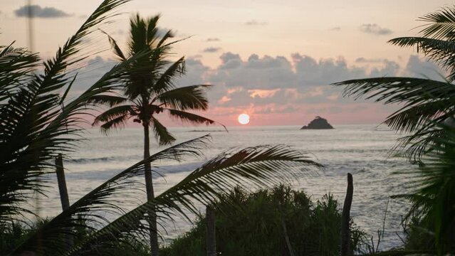 Tropical coconut trees against backdrop of sunset near ocean in southern country. Sun sets on warm paradise island and makes sky pink, yellow, orange. Summer nature and landscapes while traveling.