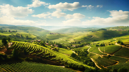 Aerial drone acres of green vineyards fields stretching for. Sunny landscape beauty of nature...