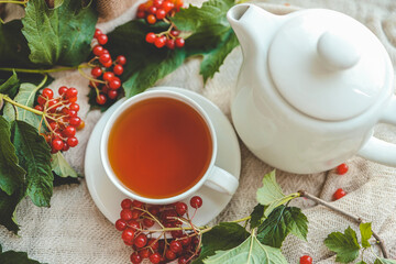 Cup of tea in autumn composition with viburnum