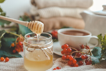 Jar of honey and tea with viburnum, autumn mood