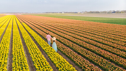 Men and women in flower fields seen from above with a drone in the Netherlands, flower fields - obrazy, fototapety, plakaty