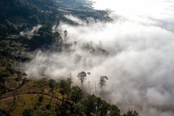 fog in the mountains