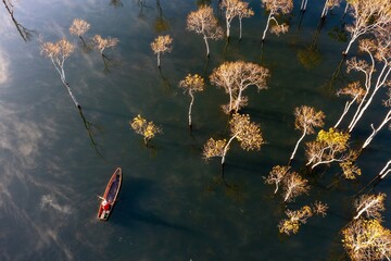 reflection in the water