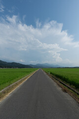 田んぼと田舎道