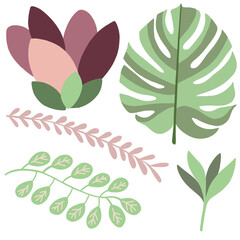 A set of botanical leaves, PNG File.