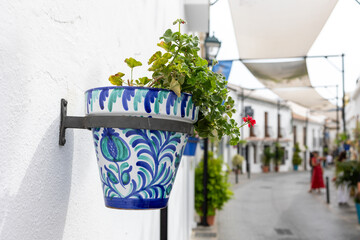 Charming Andalusian village adorned with vibrant potted plants on rustic walls, capturing the...