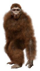 Fototapeta premium 3D Rendering Orangutan on White