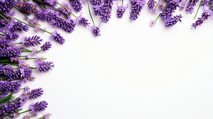 Flowers composition. Frame made of fresh lavender