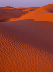 A desert and dune landscape in Oman